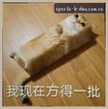 陈宇